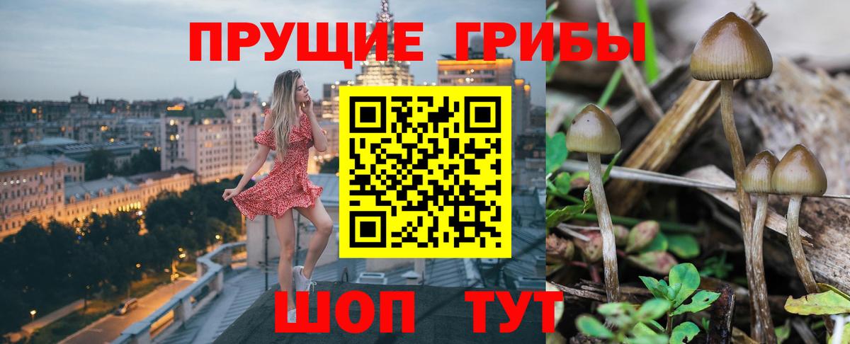 Галлюциногенные грибы ЛСД  Вход с VPN  цена   Радужный 